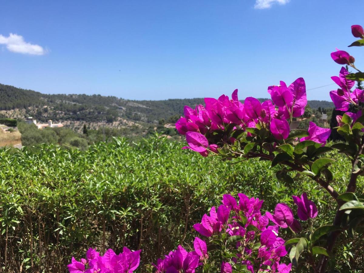 Wunderschoene Ruhige Finca Mit Pool In Galilea Galilea  Екстериор снимка